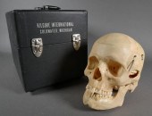 KILGORE HUMAN SKULL WITH BRAIN