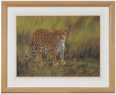 KIM DONALDSON WILDLIFE PAINTIN
