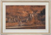 KIM DONALDSON WILDLIFE PAINTIN