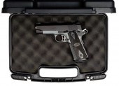 *Kimber Tactical Pro II Semi-A