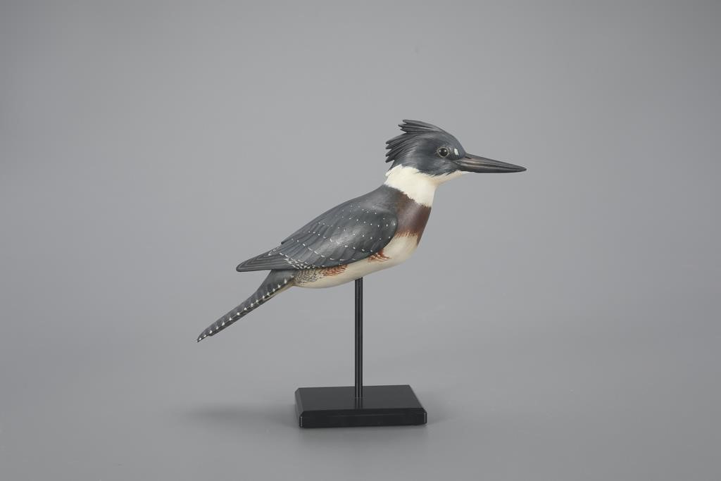 KINGFISHERWilliam Gibian (b.