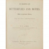 KIRBY, W.F.
EUROPEAN BUTTERFLI