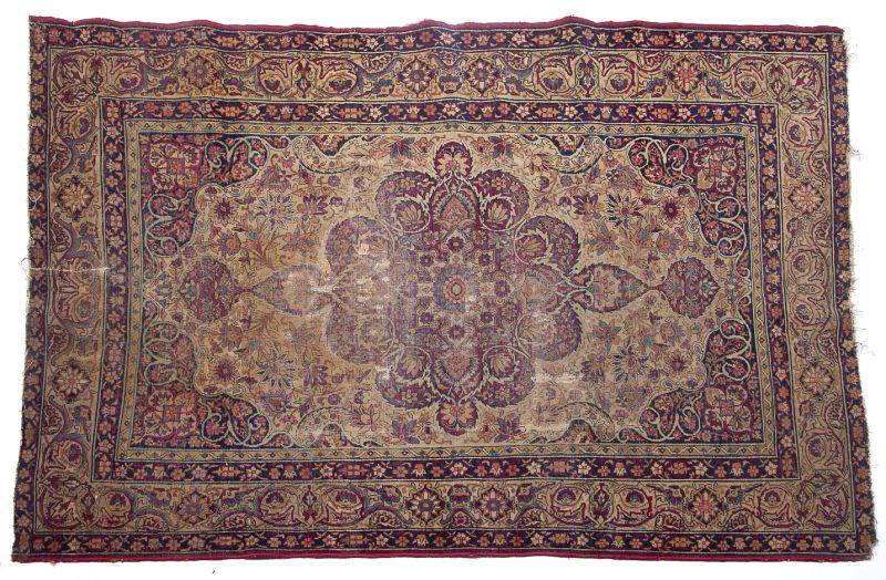 Kirman Oriental Rugivory field