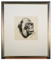 KISKA(AMERICAN 20THC.) GORILLA