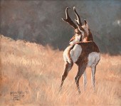 KOBUS MÖLLER (AFRICAN B. 1949)