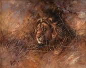 KOBUS MÖLLER (AFRICAN B. 1949)