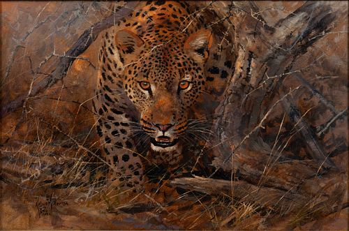 KOBUS MOLLER (AFRICAN, B.