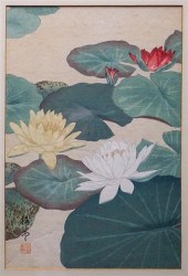 KOITSU (JAPANESE), LOTUS POND,