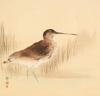 Kono Seiko (fl. 1899-1930)/Snipe in