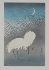 KOSON OHARA EGRETS & CRESCENT