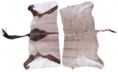Kudu buckskin, tan, 55-1/2" x