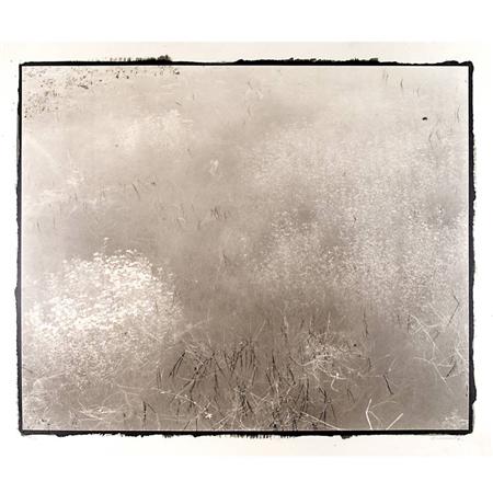 KURITA, KOICHIRO In a meadow,