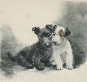 Kurt Meyer Eberhardt (German,
