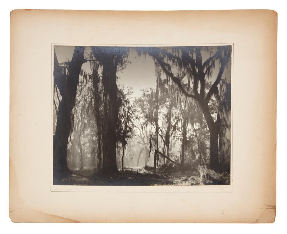 L. GALLO (AMERICAN/LOUISIANA,