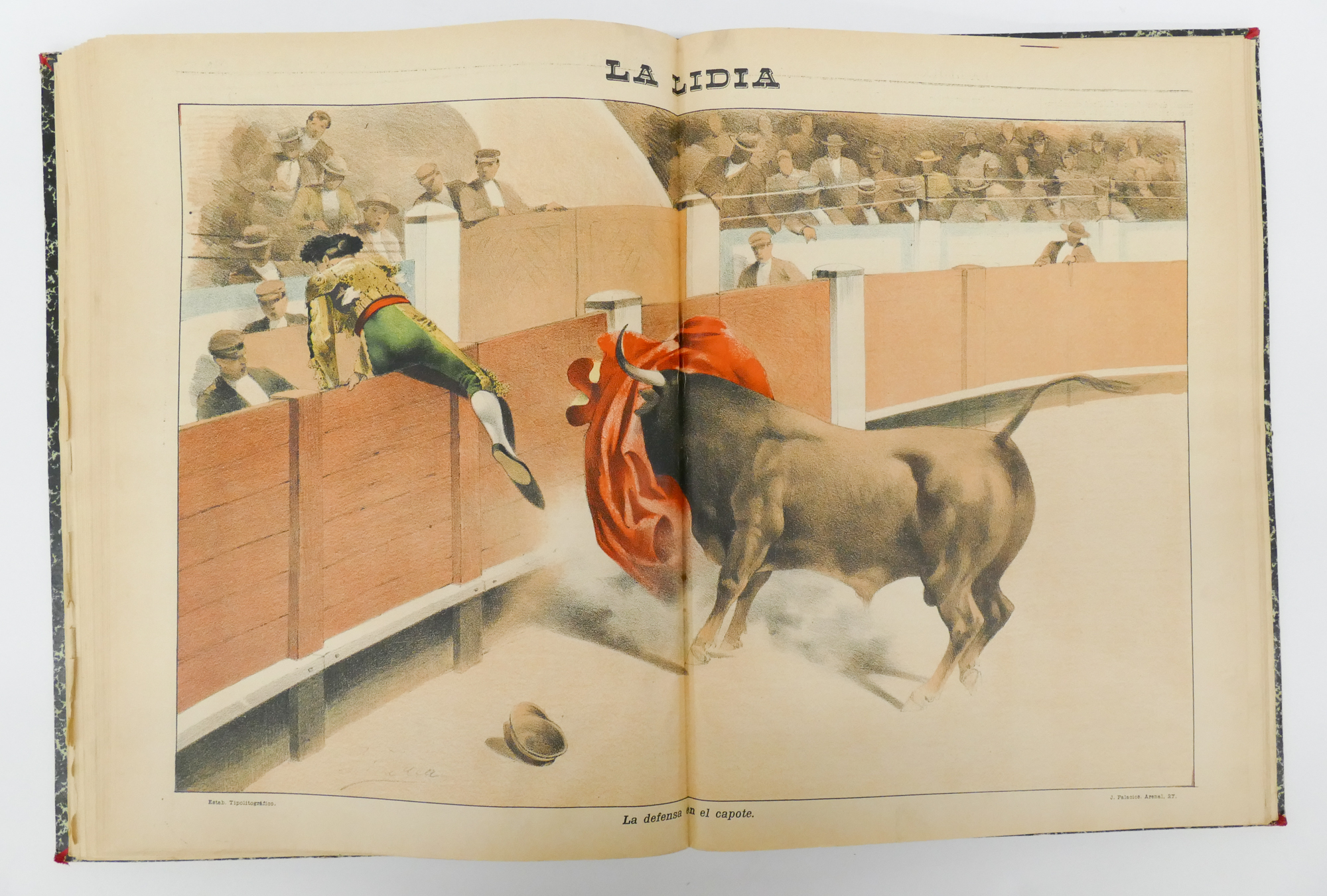La Lidia Bound Spanish Bull