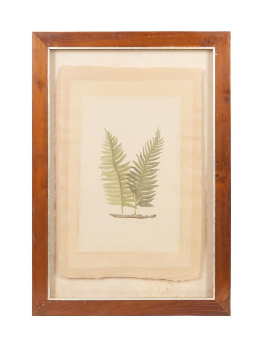 LA ROCHE LAFFITTE BOTANICAL STUDY