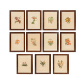 LA ROCHE LAFFITTE, SET OF 11 B