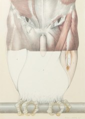 LABLAIS, Michel, (French, 1925