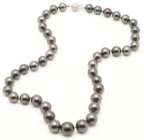 LADIES' 14K & TAHITIAN BLACK