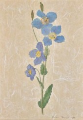 Lady Emma Tennant (British bor