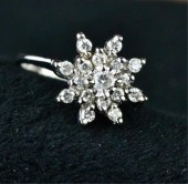 LADY'S DIAMOND FLOWER CLUSTER