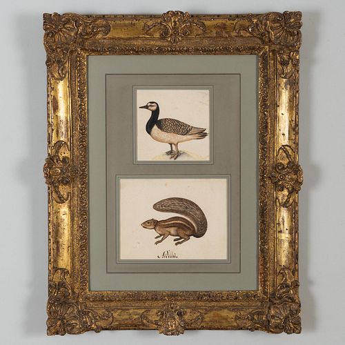 LAMBERT LOMBARD (1506-1566): A DUCK