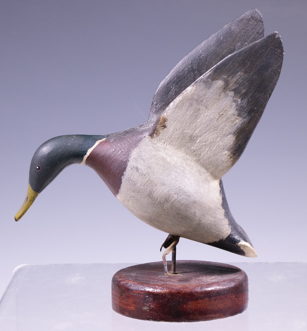 LANDING MALLARD BY RUSS BURR Laurie