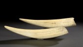 Large and Rare Pair of Ivory W