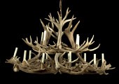 Large Austro-German Antler-Mou