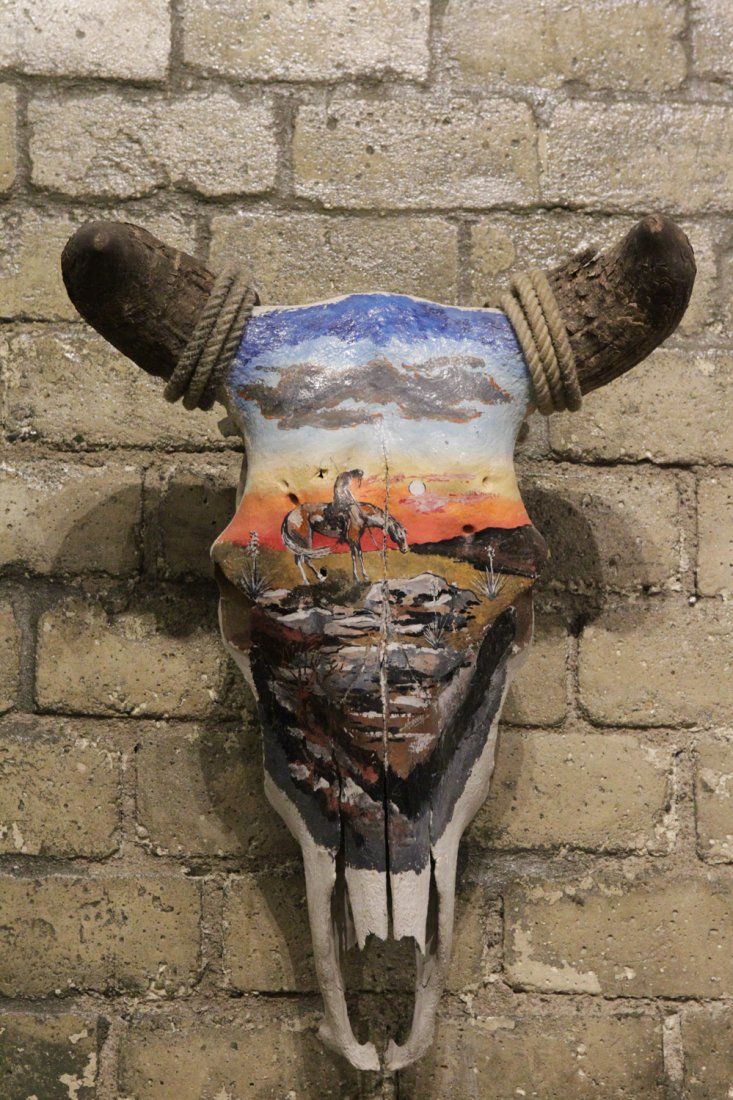 LARGE AUTHENTIC BUFFALO SKULL