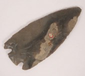 Large basal notch; Alcorn Co.,