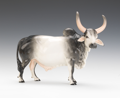 Large Boehm Brahman Bull Large