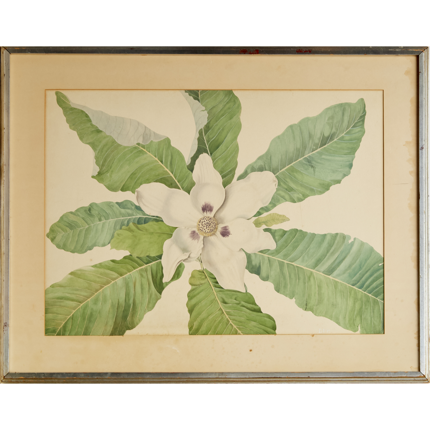 LARGE BOTANICAL WATERCOLOR ON