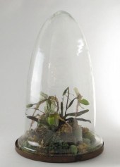 Large Brass and Glass Terrariu