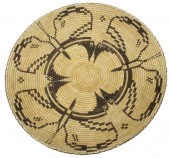 LARGE BUTTERFLY PATTERN PAPAGO