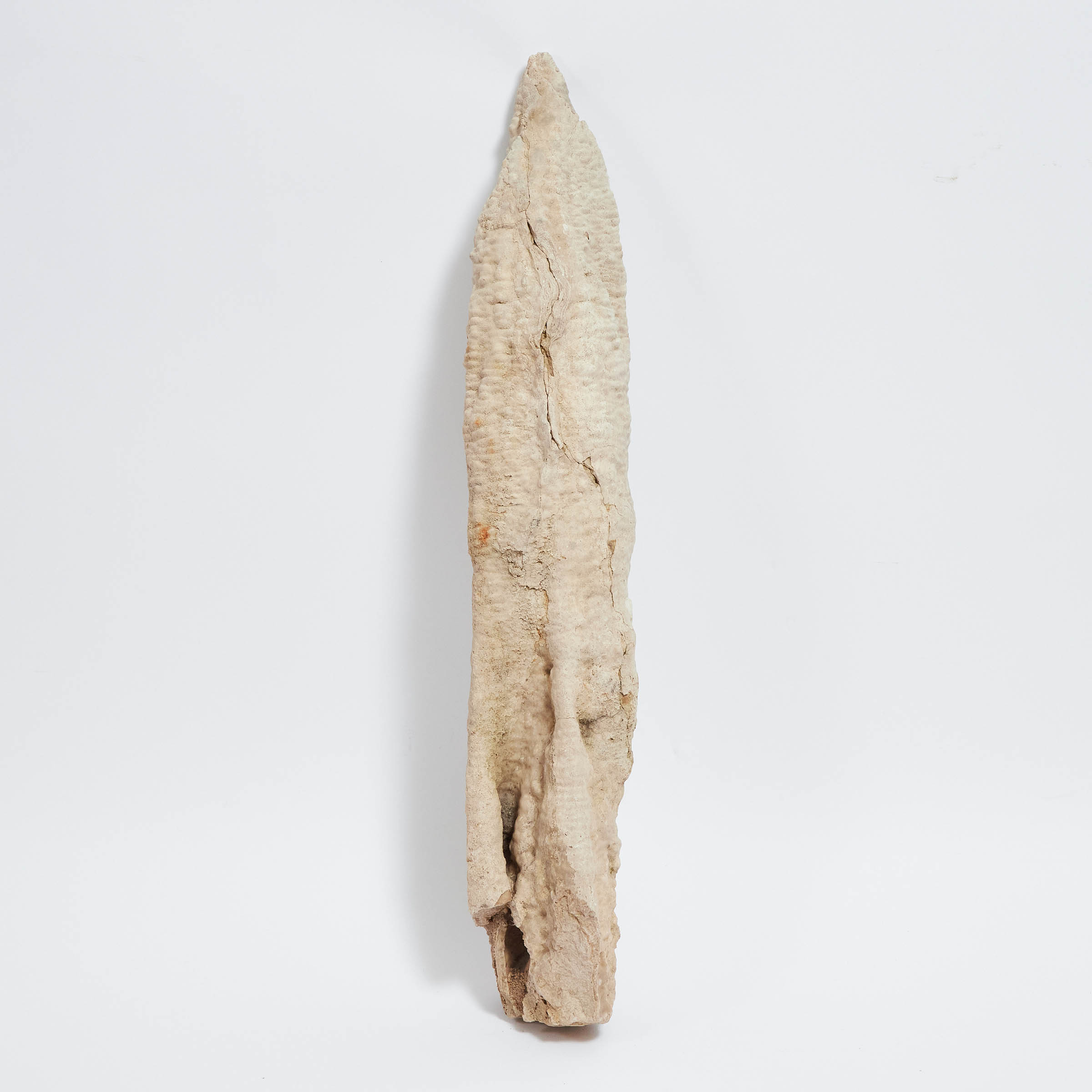 Large Calcite Stalactite Specimen