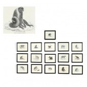 LARGE COLLECTION OF ANTIQUE PR