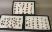 LARGE COLLECTION OF CARVED FRU