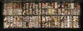 LARGE COLLECTION OF SEA SHELLS