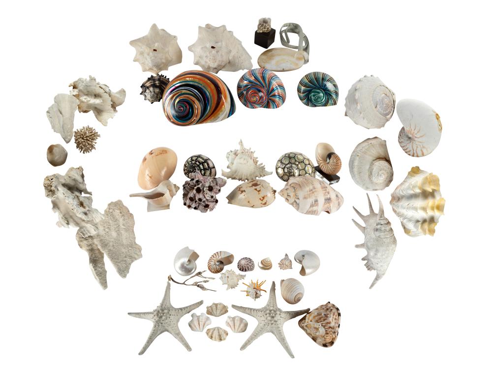 LARGE COLLECTION OF