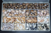 LARGE COLLECTION OF SMALL COWR