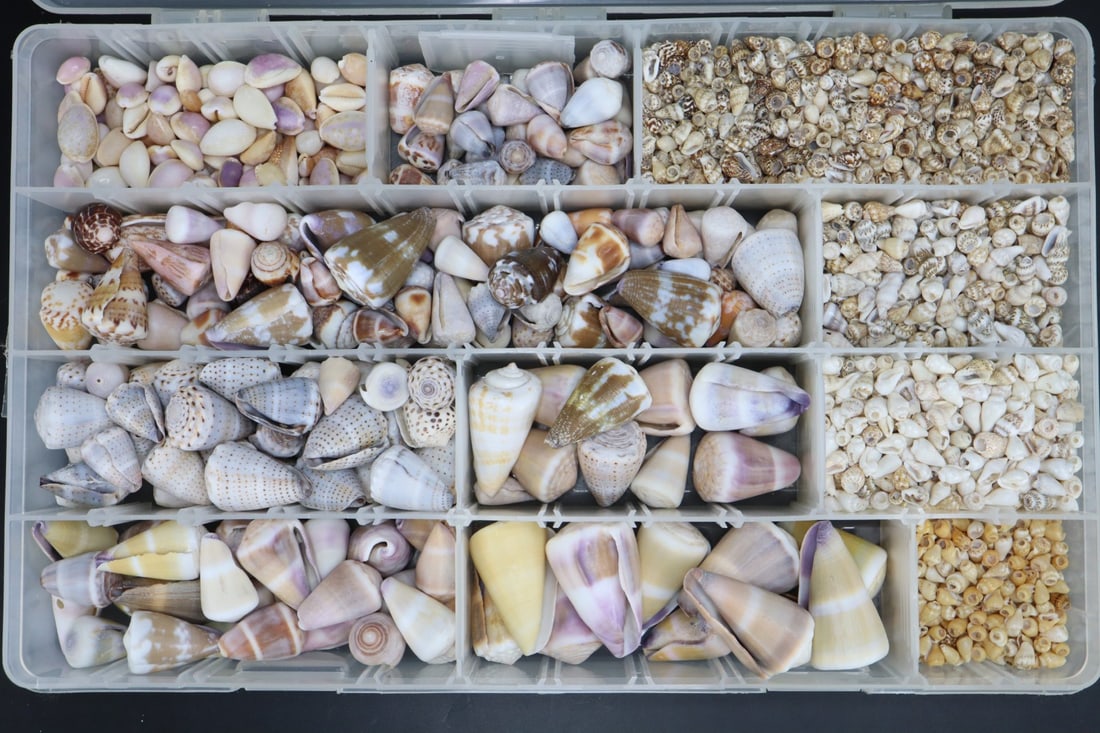 LARGE COLLECTION OF SMALL