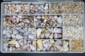 LARGE COLLECTION OF SMALL SEAS