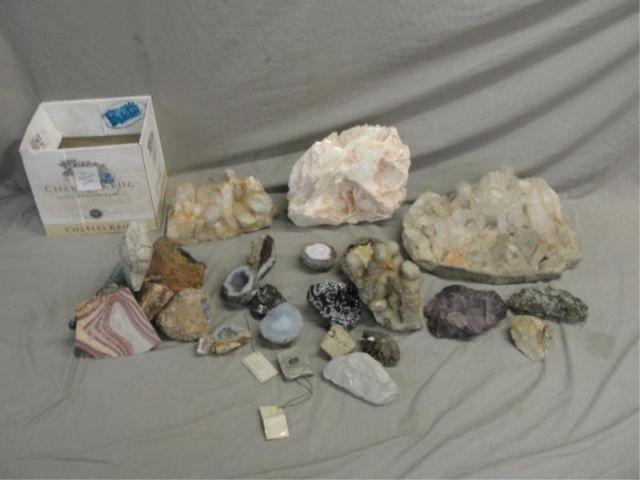 Large Collection of Specimen