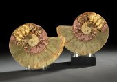 Large, Colorful Pair of Split