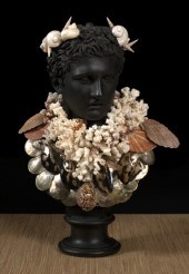 Large Coral- and Seashell-Encr