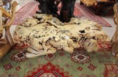 LARGE CUSTOM ARTISAN BURL COFF