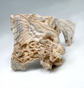 LARGE DRAGON CARVED OF MOOSE A