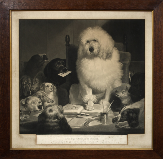Large English Mezzotint of Canine