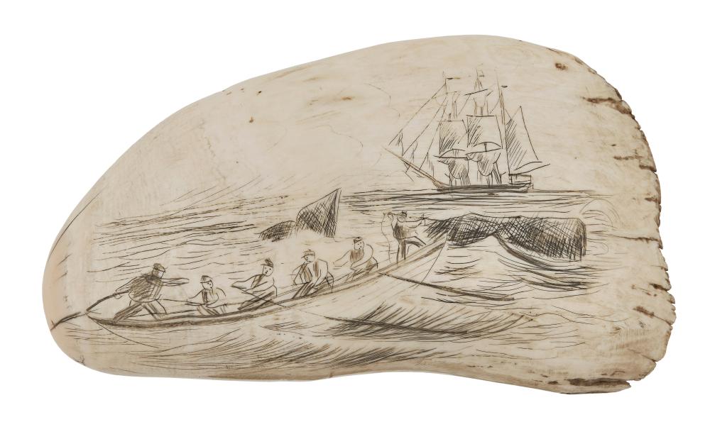 * LARGE ENGRAVED WHALE'S TOOTH WITH
